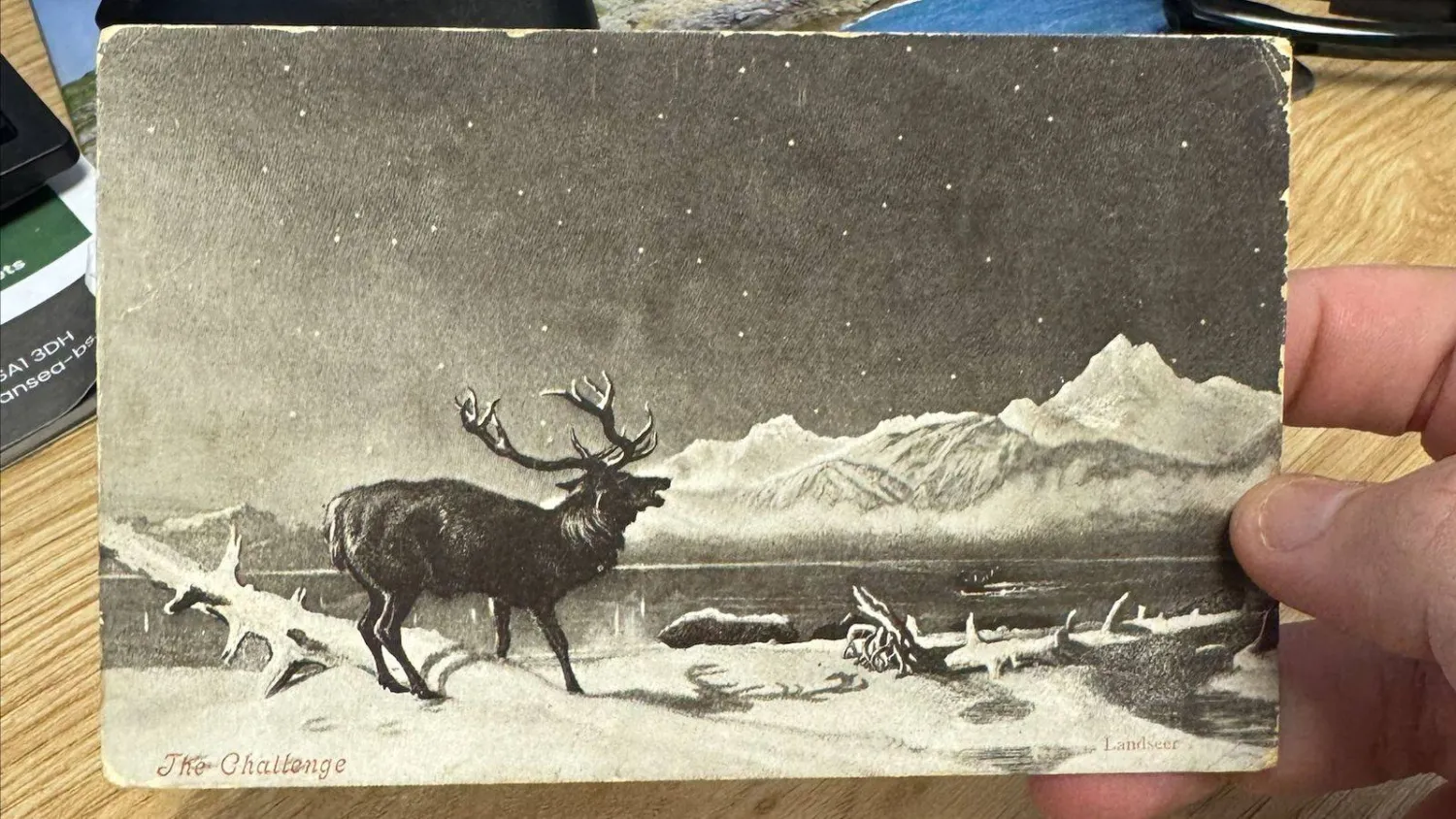 تحمل البطاقة صورة للوحة الفنان إدوين هنري لاندسير (صفحة الجمعية في «فيسبوك») 