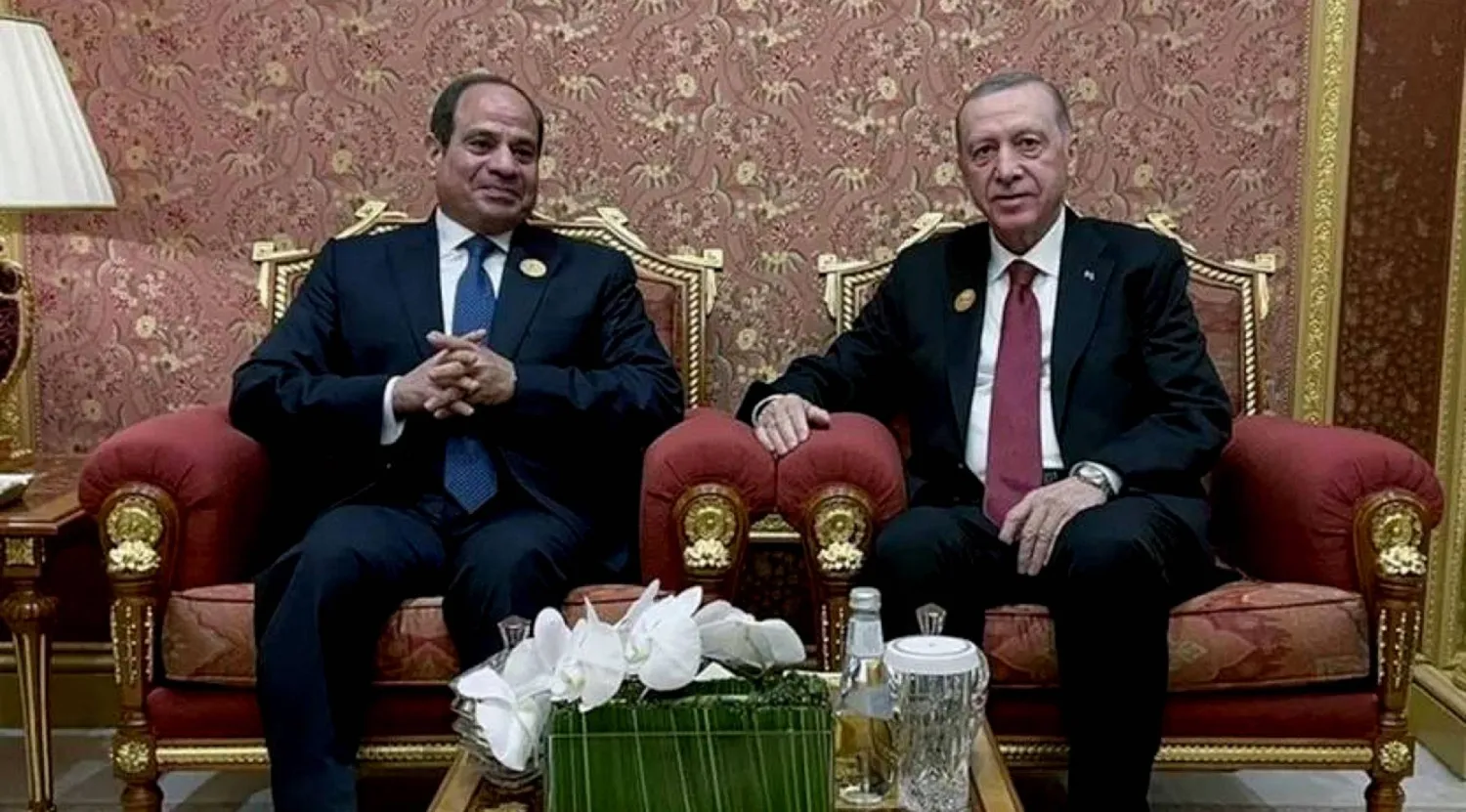 جانب من لقاء الرئيسين السيسي وإردوغان خلال زيارته للقاهرة في 14 فبراير الماضي (الرئاسة التركية)