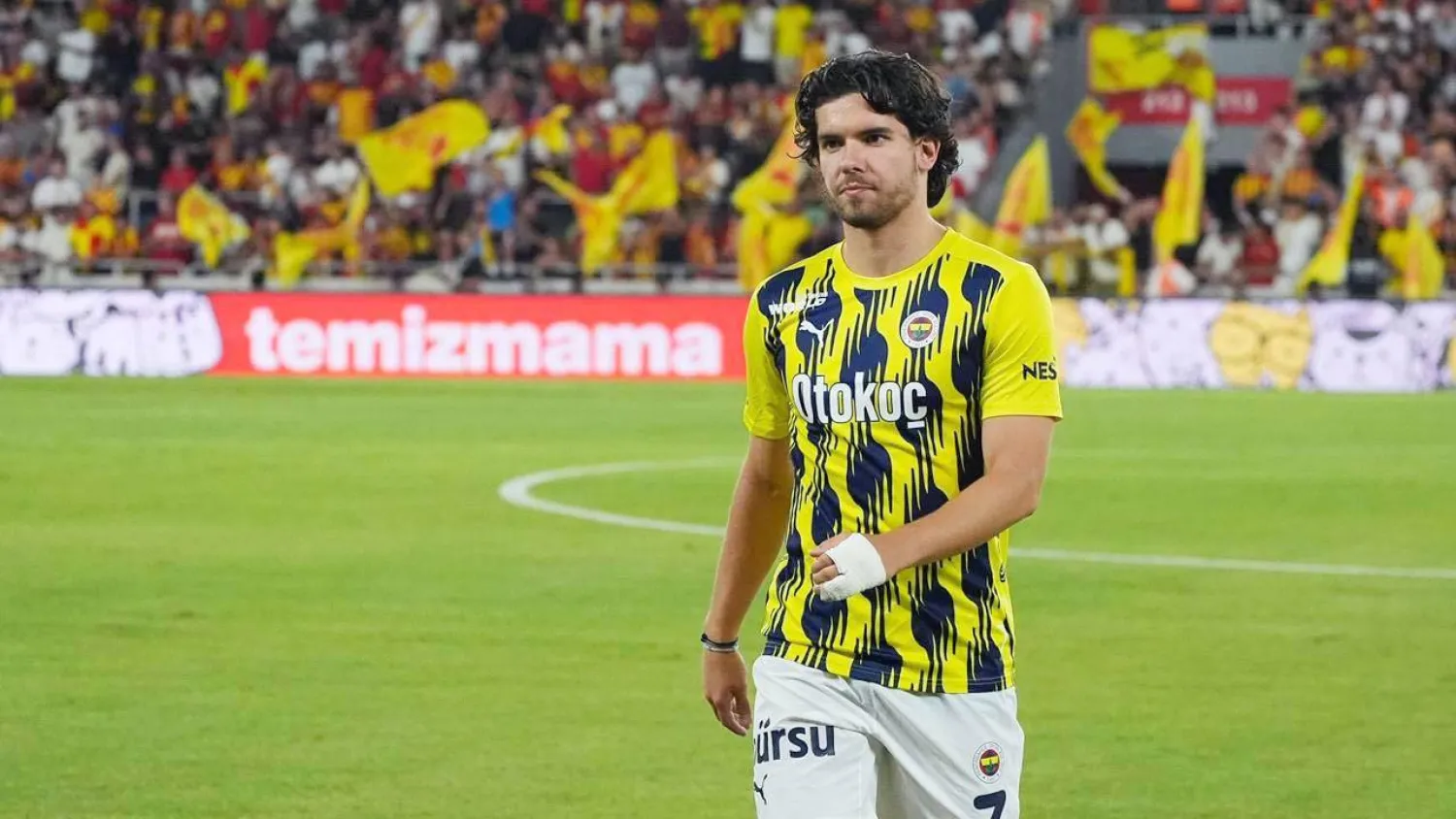 فاردي قاضي أوغلو (الشرق الأوسط)