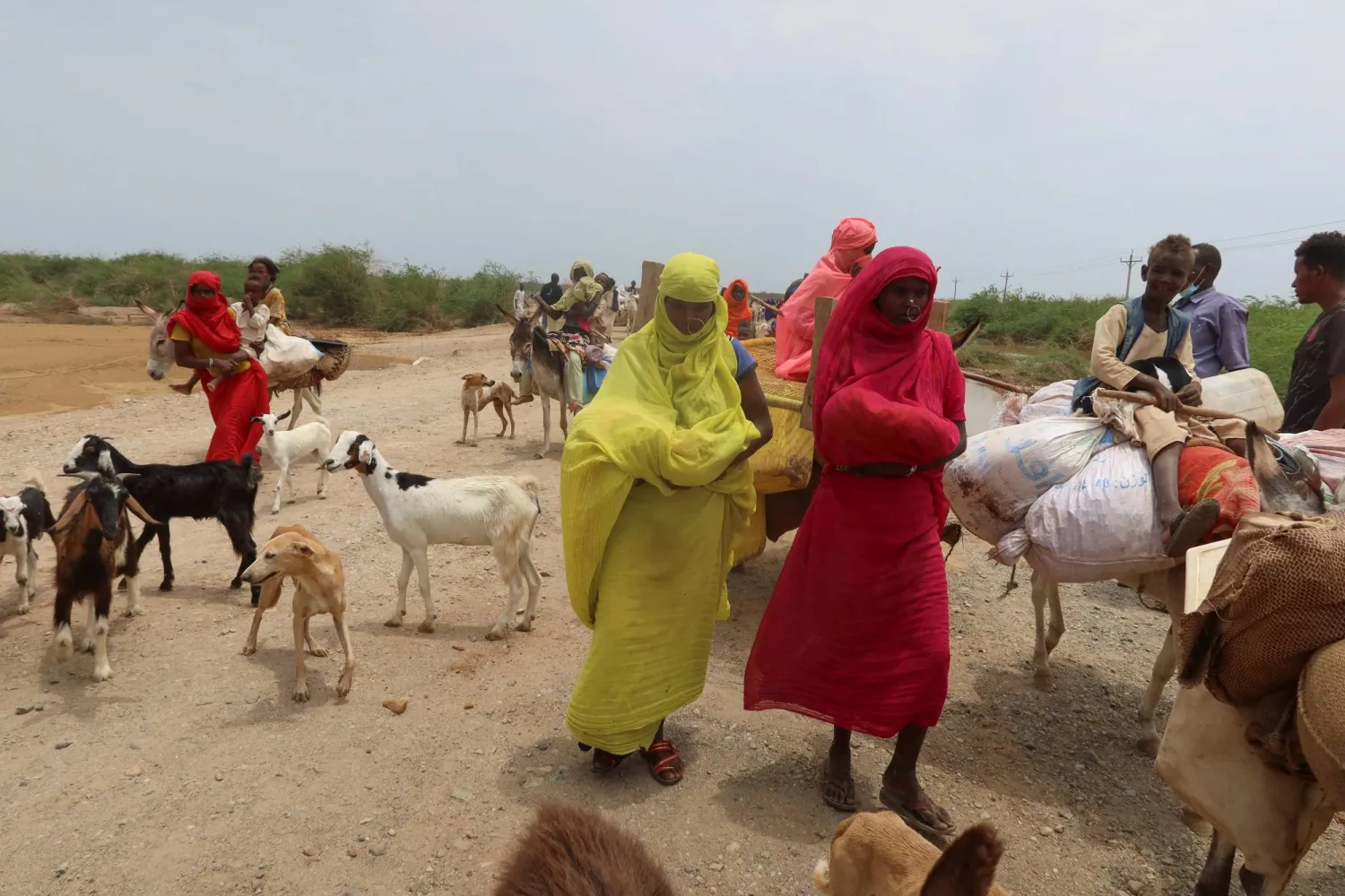 Evacuees move their belongings on donkeys, following devastating floods, in Tokar, Red Sea State, Sudan, August 28, 2024. REUTERS/El Tayeb Siddig