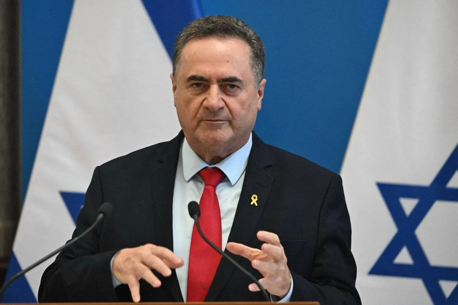 Israeli Foreign Minister Israel Katz (AFP)
