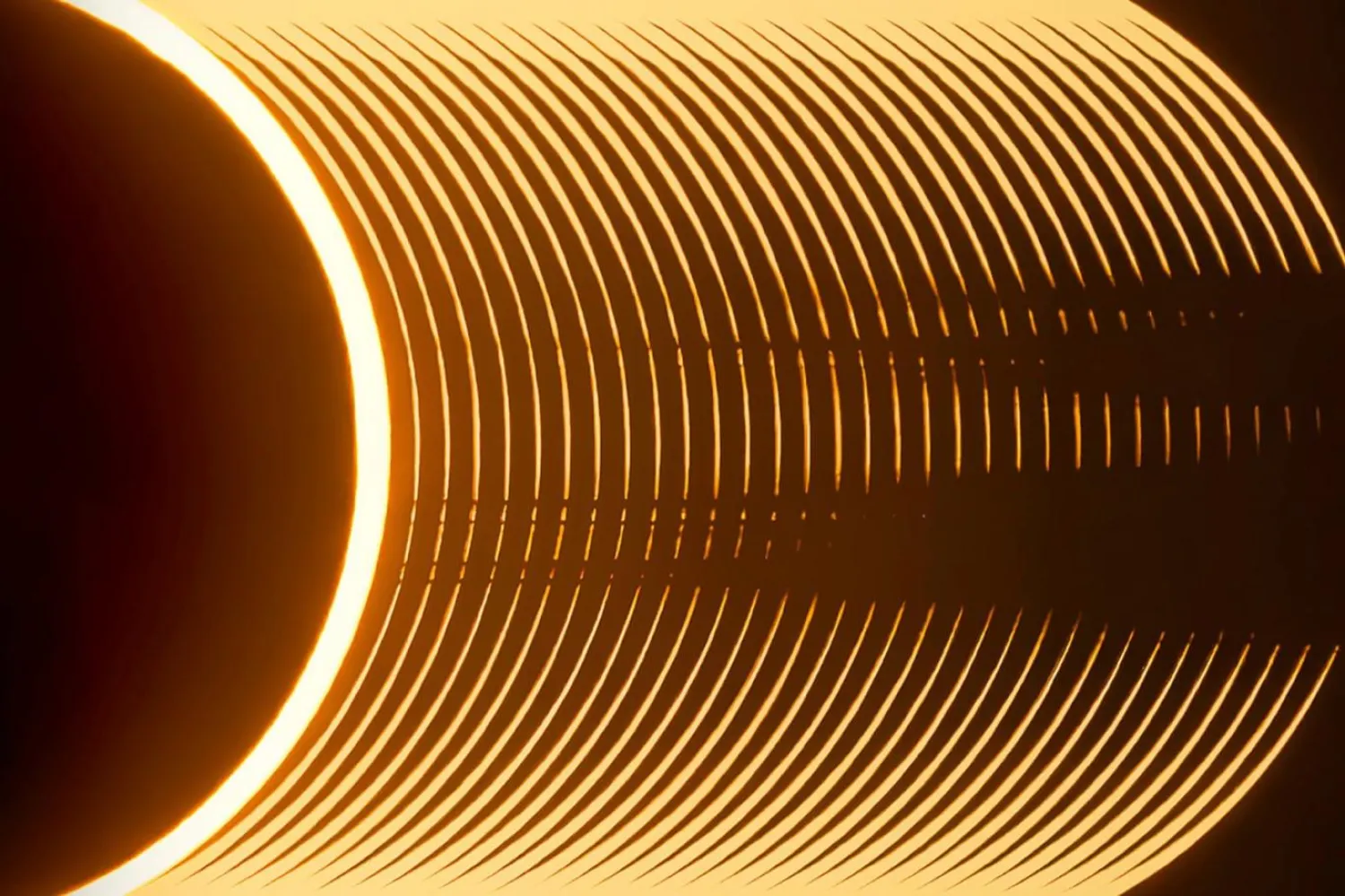 Ryan Imperio, çok kısa süren bir anı fotoğraflayarak yarışmanın birincisi oldu (Ryan Imperio/APOTY16)