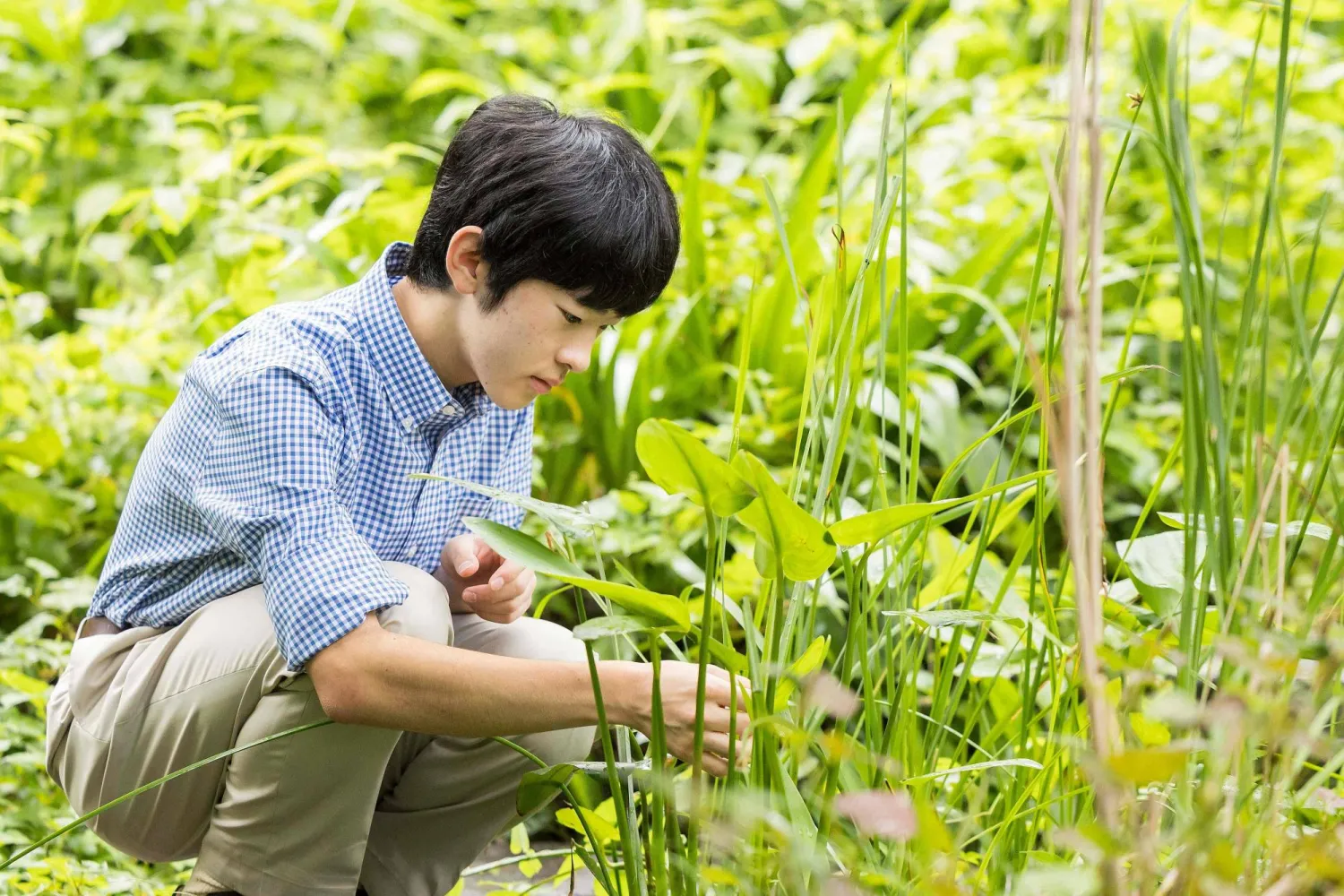 In this handout photo taken on July 15, 2024 and released by the Imperial Household Agency of Japan on September 6, Japan's Prince Hisahito is pictured at a garden of the Akasaka imperial property residence in Tokyo. Prince Hisahito celebrates his 18th birthday on September 6. (Photo by Handout / IMPERIAL HOUSEHOLD AGENCY OF JAPAN / AFP)