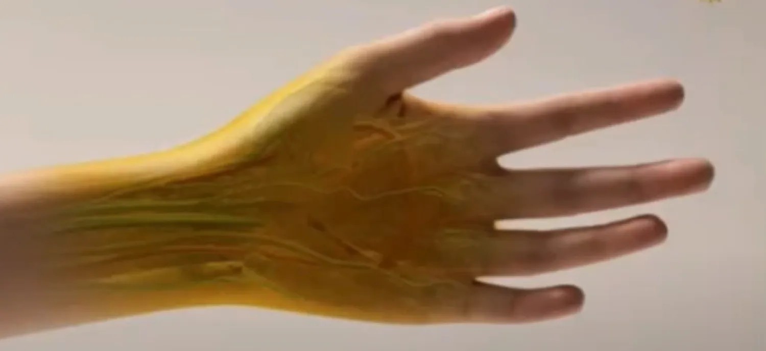 علماء ينجحون في جعل جلد الفئران شفافاً باستخدام صبغة «تارترازين»