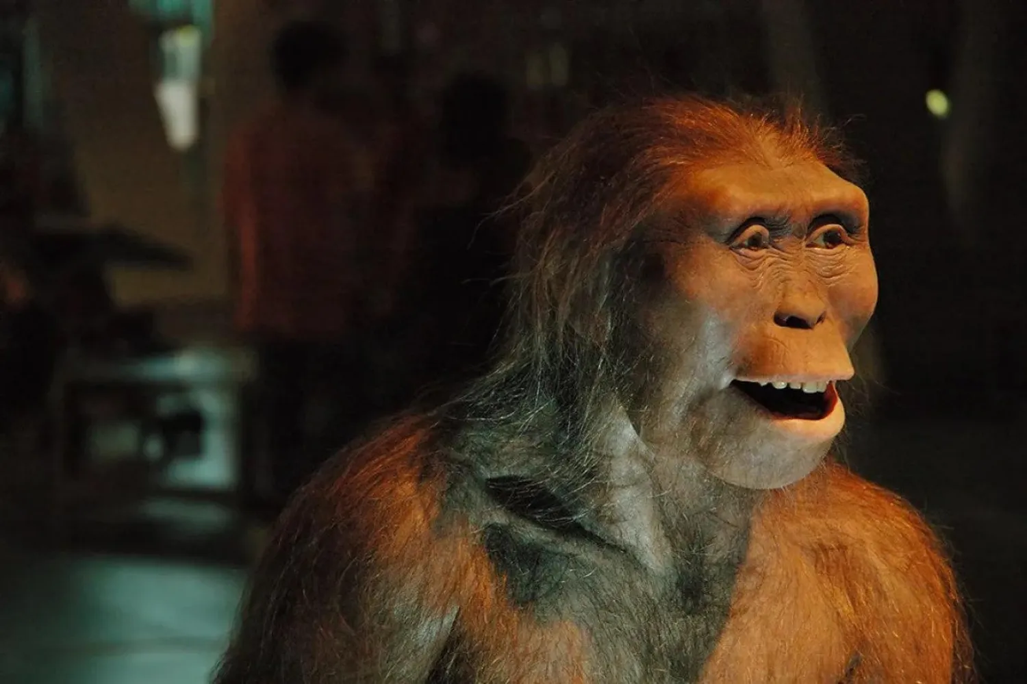 Lucy'nin kalıntılarının bulunduğu gün yapılan kutlamada The Beatles'ın Lucy in the Sky with Diamonds parçası çaldığı için bu isim verildi (Carlos Lorenzo/Flickr)