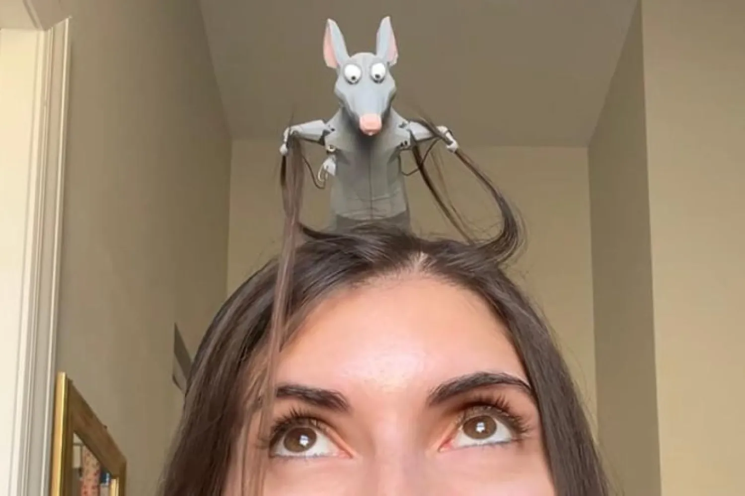 Robot fare, Ernst'ün saçlarını çekerek onu yönlendiriyormuş gibi görünüyor (Christina Ernst)