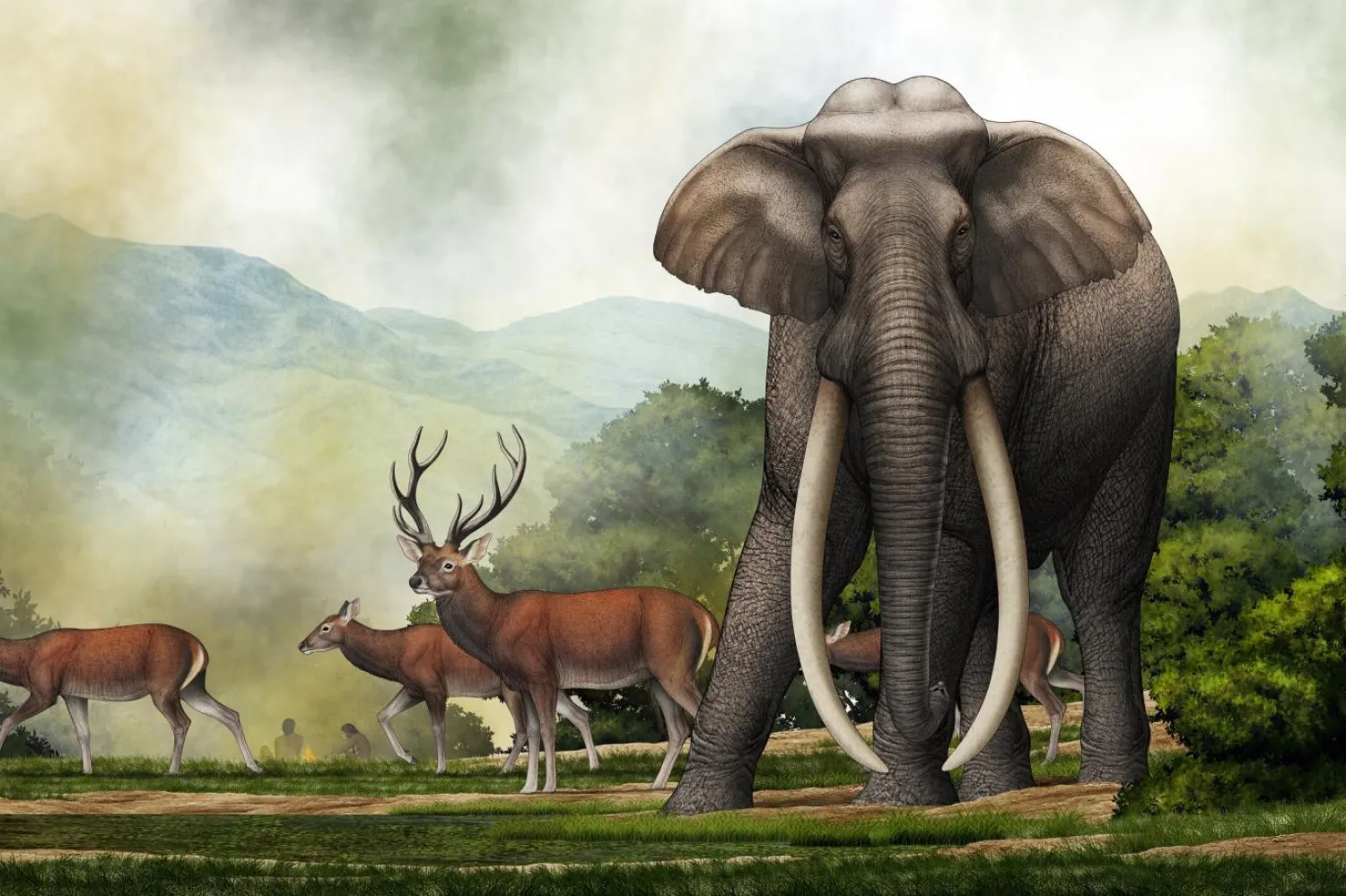 Soyu tükenen Palaeoloxodon turkmenicus, yaklaşık 4 metre boyunda ve 10 ton ağırlığındaydı (Chen Yu)