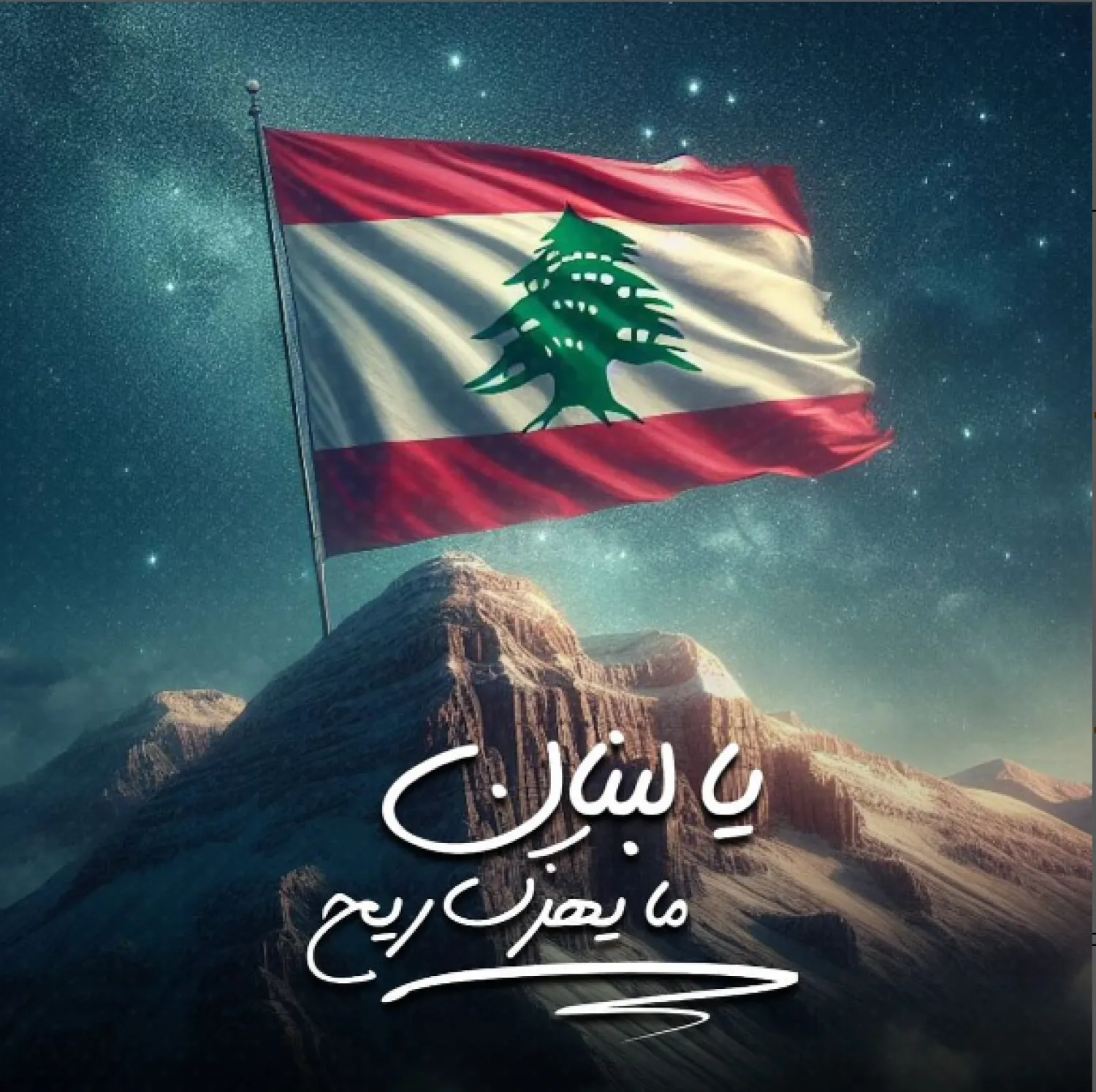 الأوطان لا تموت (من صفحة فيفي عبده في «إنستغرام»)