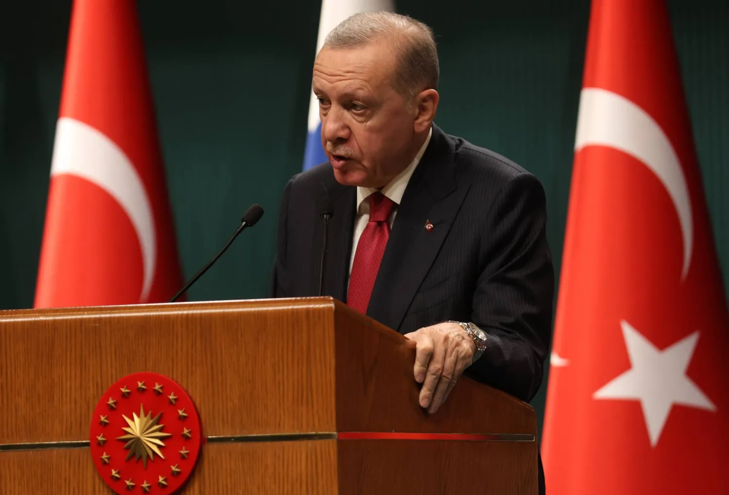 الرئيس التركي رجب طيب إردوغان (إ.ب.أ)