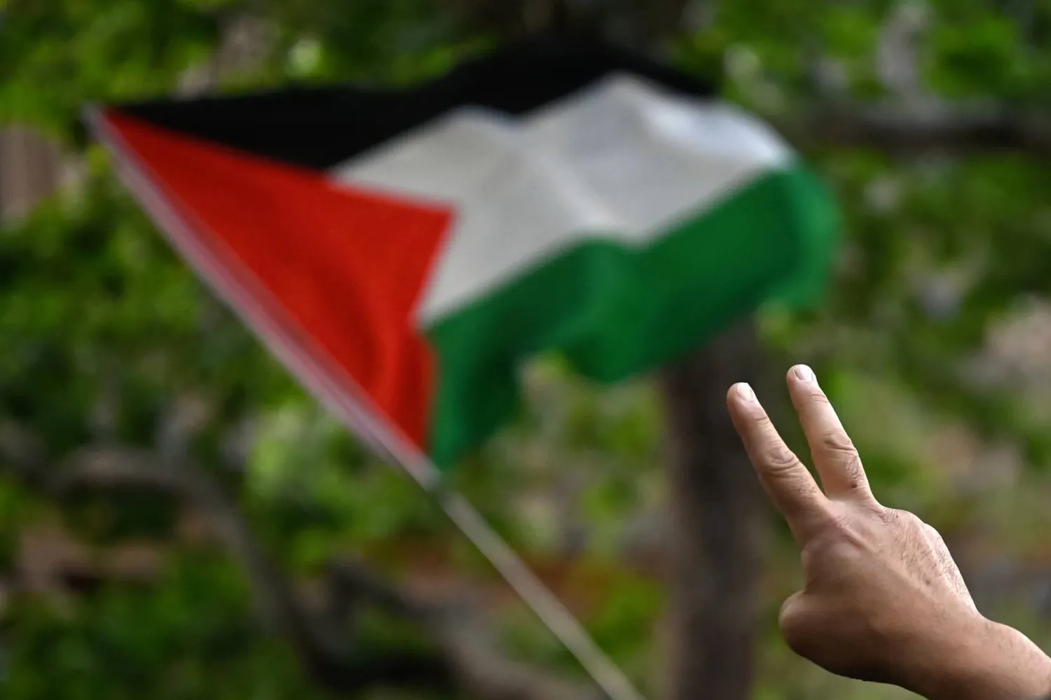 ABD ve Kanada, Filistin yanlısı grupları terör örgütü olarak sınıflandırarak yaptırım uyguluyor. (EPA)