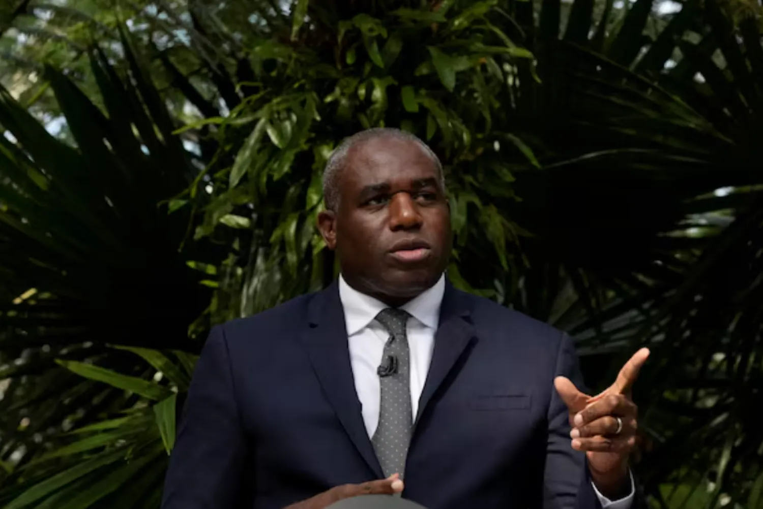 Britain's Foreign Secretary David Lammy gestures while speaking about climate and environment policy at Kew Gardens in London, Britain September 17, 2024. Frank Augstein/Pool via REUTERS/File Photo
