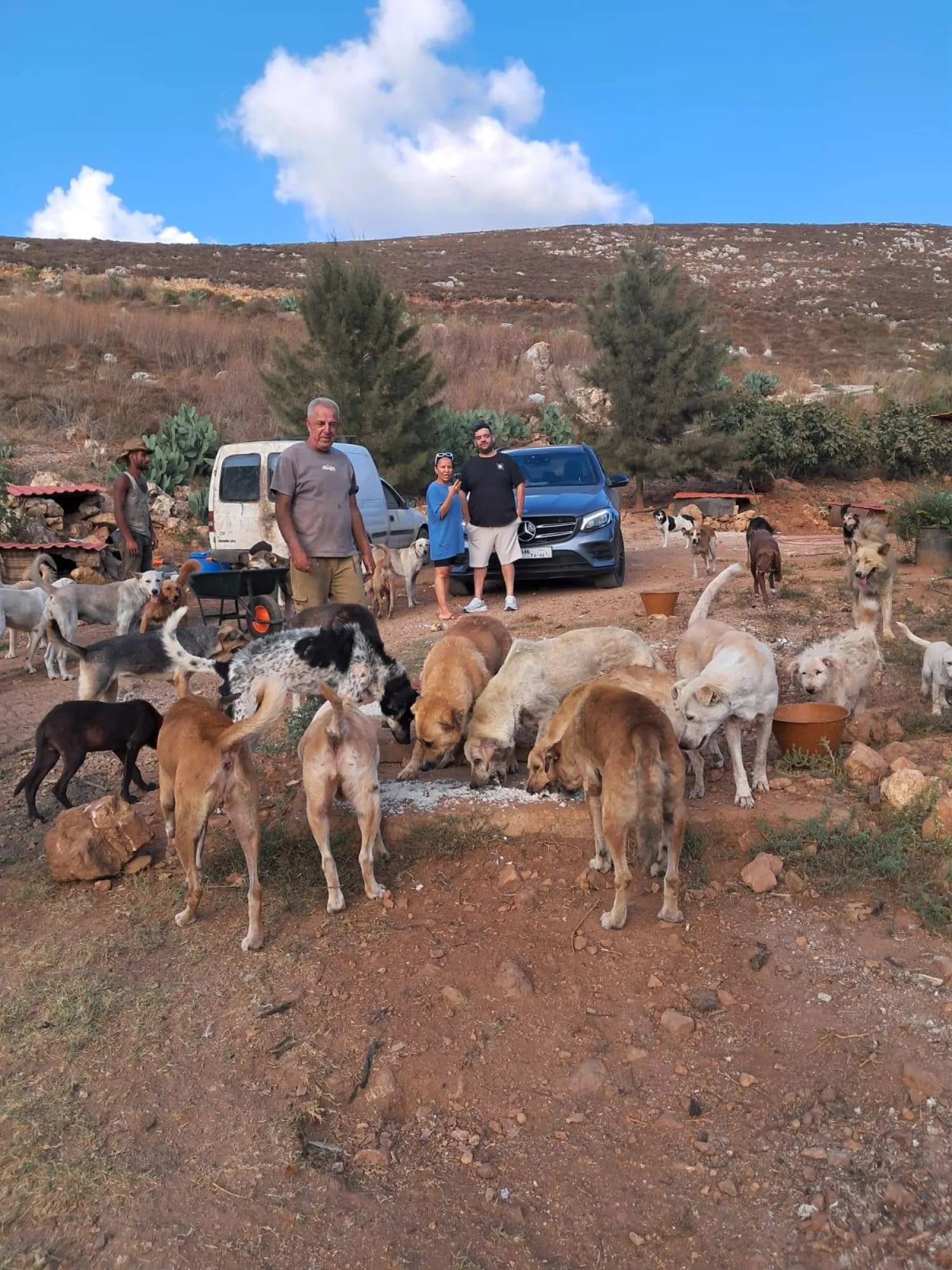 اللبناني حسين حمزة محاطاً بالكلاب التي يهتم بها (الشرق الأوسط)