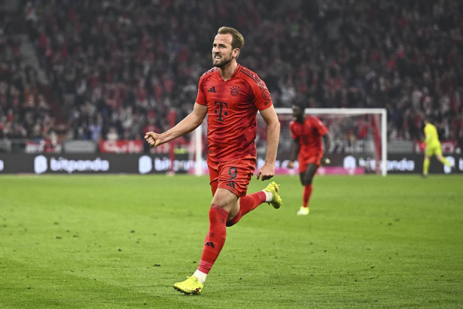 هاري كين (أ.ب)