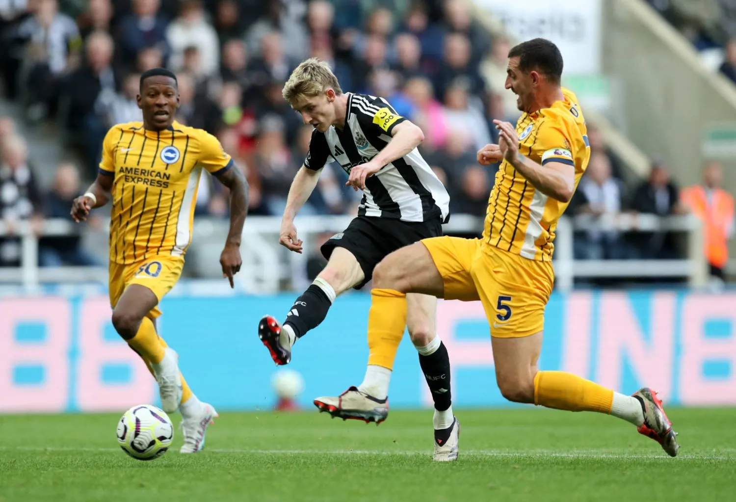 أنتوني جوردون باق في نيوكاسل لسنوات مقبلة (رويترز)