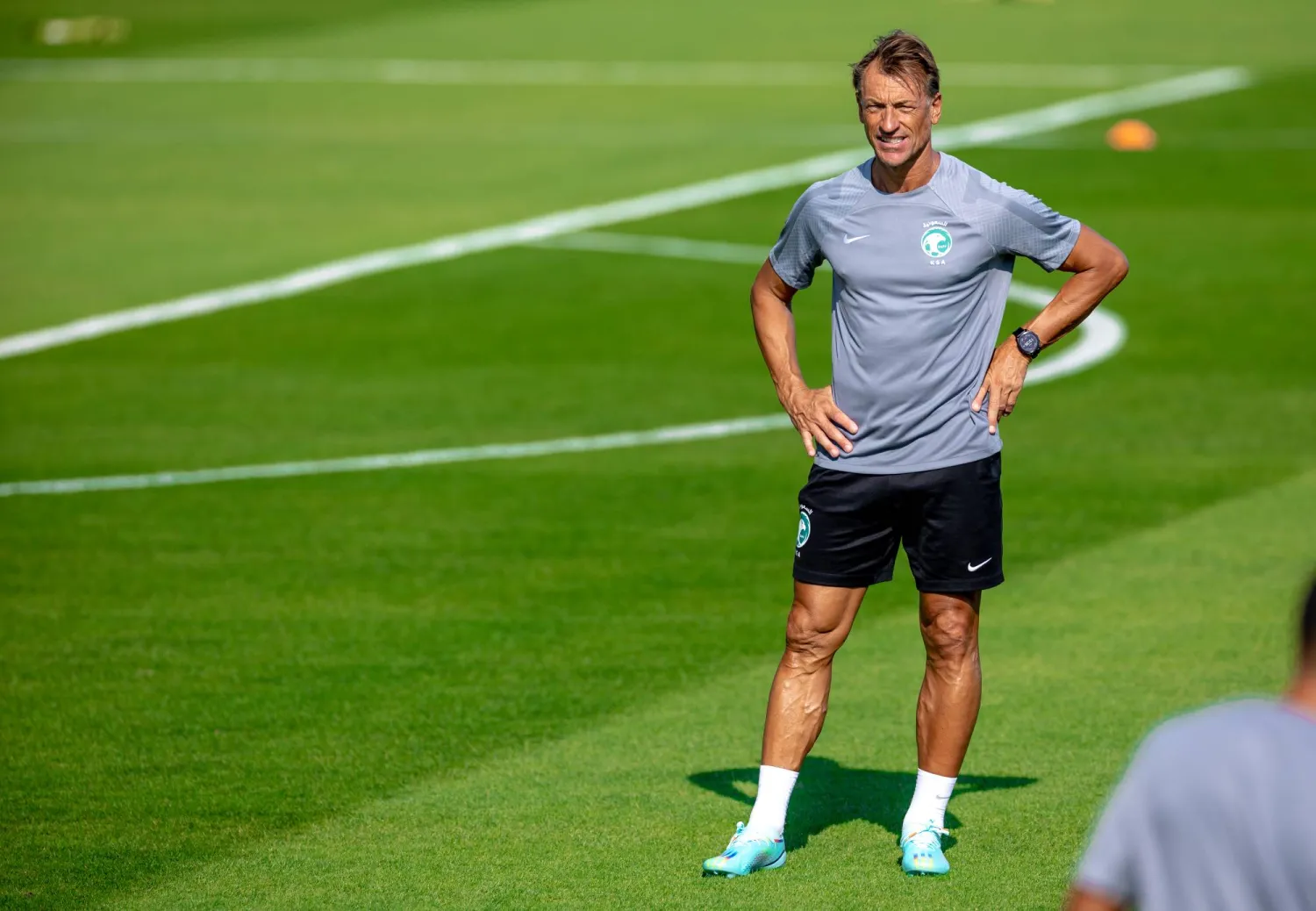 رينارد اسم يعرف كرة القدم السعودية جيداً (الشرق الأوسط)