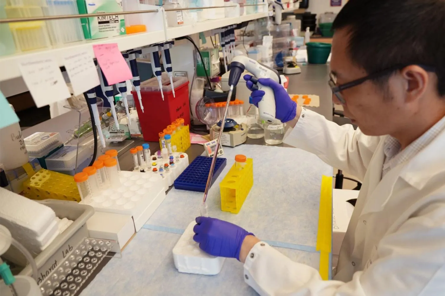 Bir bilim insanı, Dr. Ankit Bharat'ın araştırma laboratuvarında çalışıyor. Bharat ve laboratuvarındaki araştırmacılar, Kovid'le kanserin gerilemesi arasında "şaşırtıcı bir bağlantı" bulan bir çalışma kaleme aldı (Northwestern Medicine)