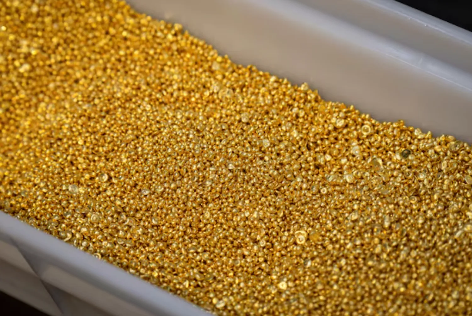 A view shows granules of 99.99 percent pure gold in a workroom during production at Krastsvetmet precious metals plant in the Siberian city of Krasnoyarsk, Russia, May 23, 2024. REUTERS/Alexander Manzyuk/File Photo Purchase Licensing Rights