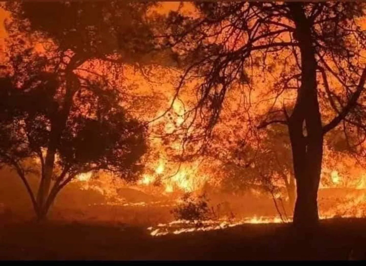Fire in Latakia, Syria 