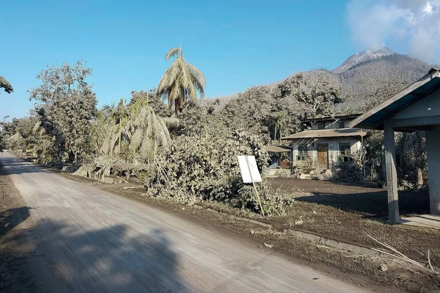 A general view of a residential area covered with volcanic ash at an area affected by the eruption of Mount Lewotobi Laki-Laki volcano at Flores Timur, Indonesia, November 4, 2024. (Antara Foto/Pemulet Paul/via Reuters) 