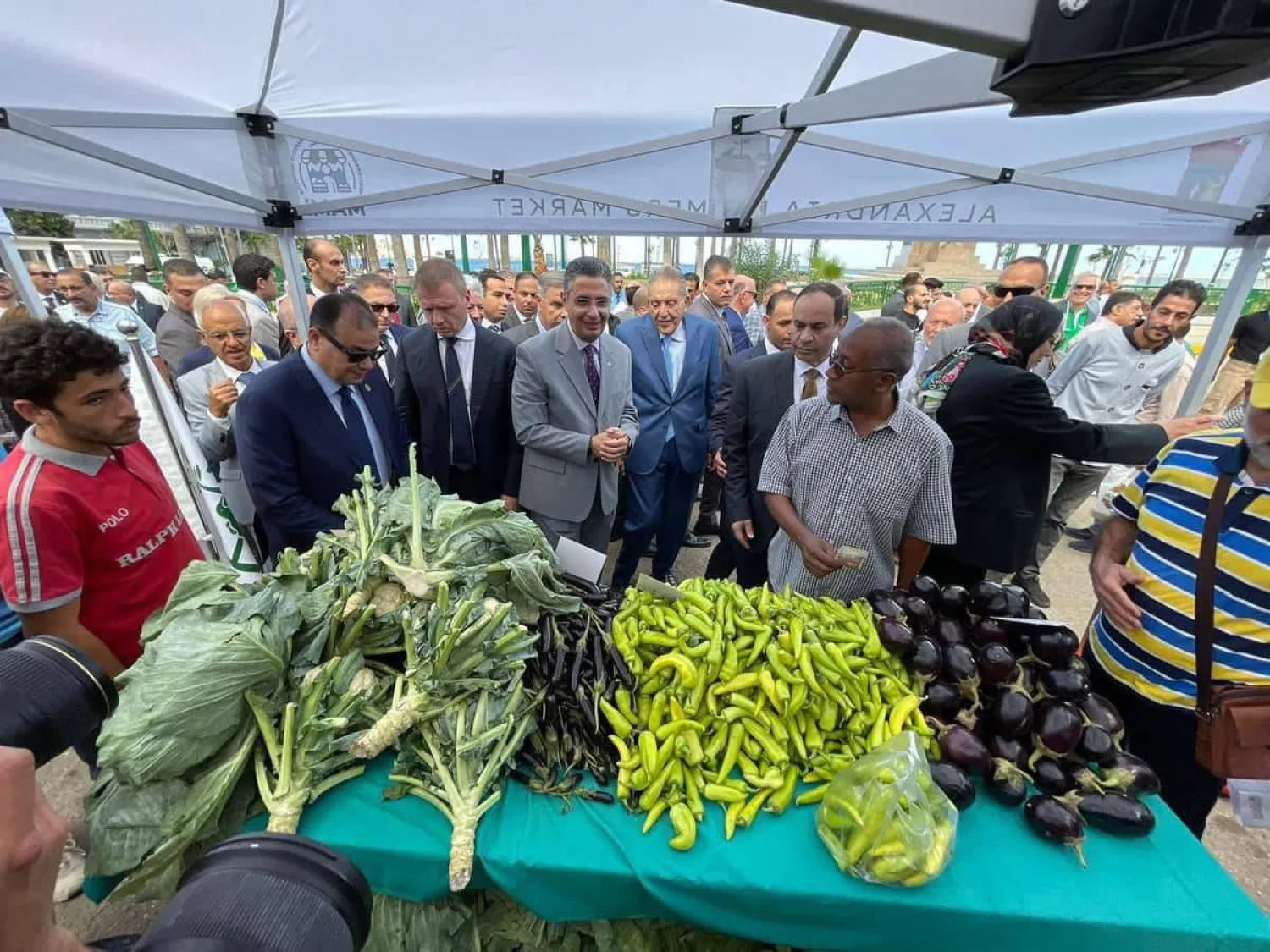 جانب من السلع في «سوق اليوم الواحد» (وزارة التموين)