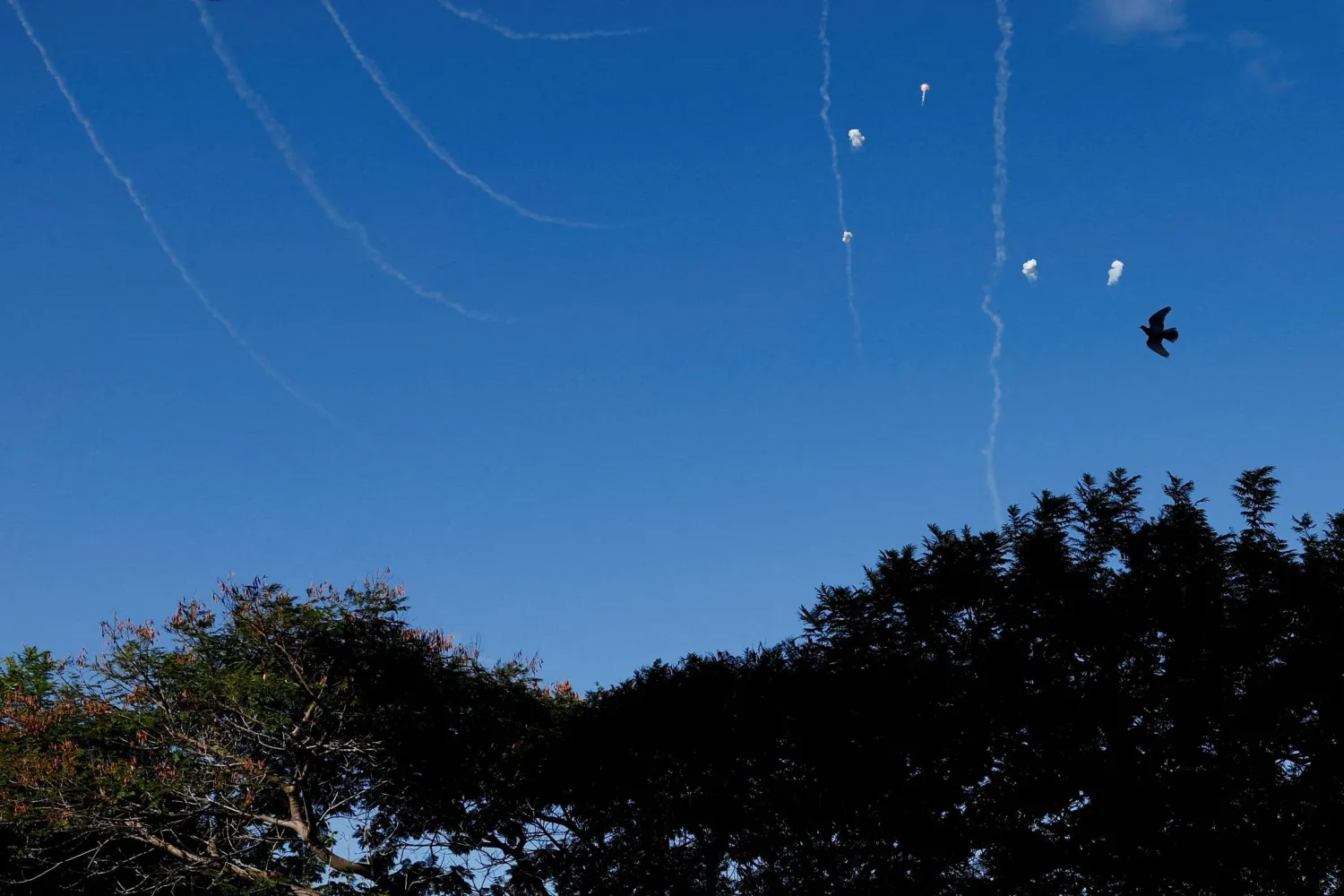 Israel’s Iron Dome anti-missile system operates to intercept incoming projectiles, amid hostilities between Hezbollah and Israeli forces, in Nahariya, Israel, November 21, 2024. REUTERS/Thomas Peter