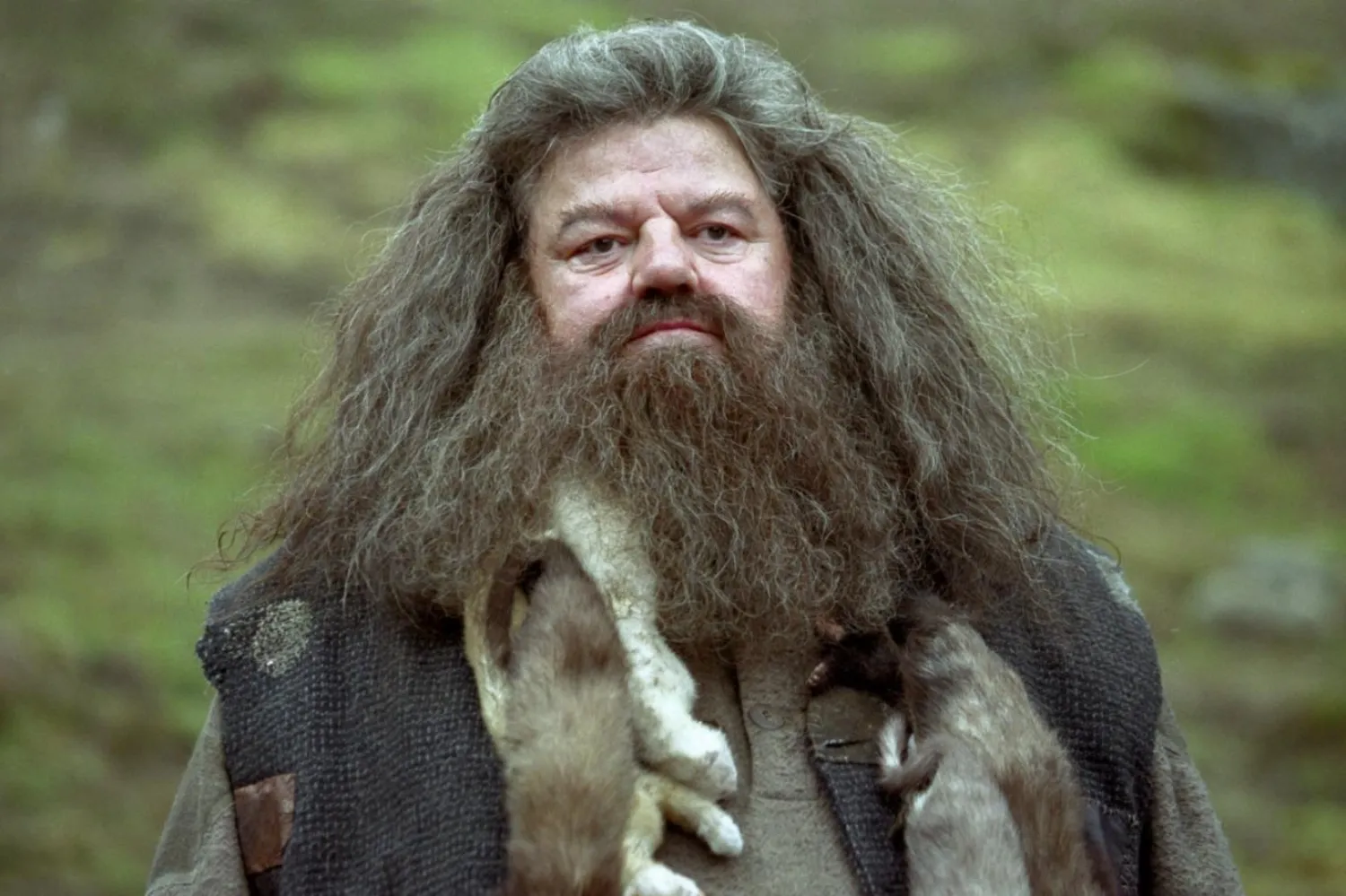 Robbie Coltrane, Harry Potter serisinde Hagrid rolünde (Warner Bros. Pictures)
