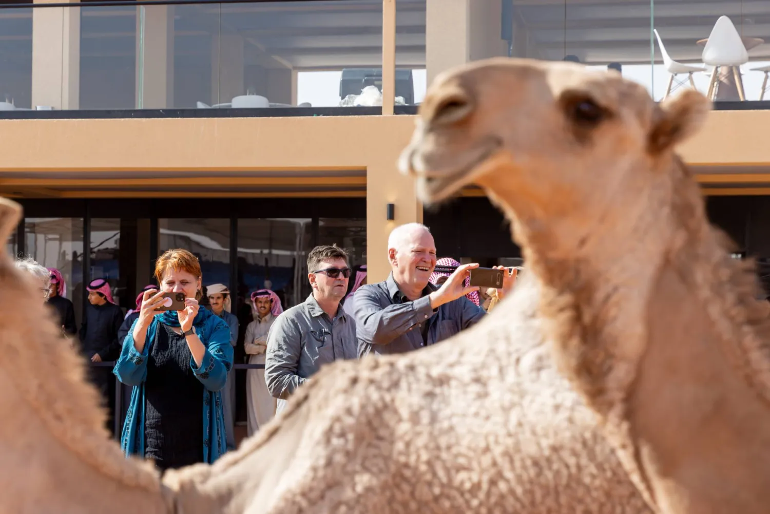 سياح أوروبيون يلتقطون صورا للإبل المشاركة في المهرجان (الشرق الأوسط)