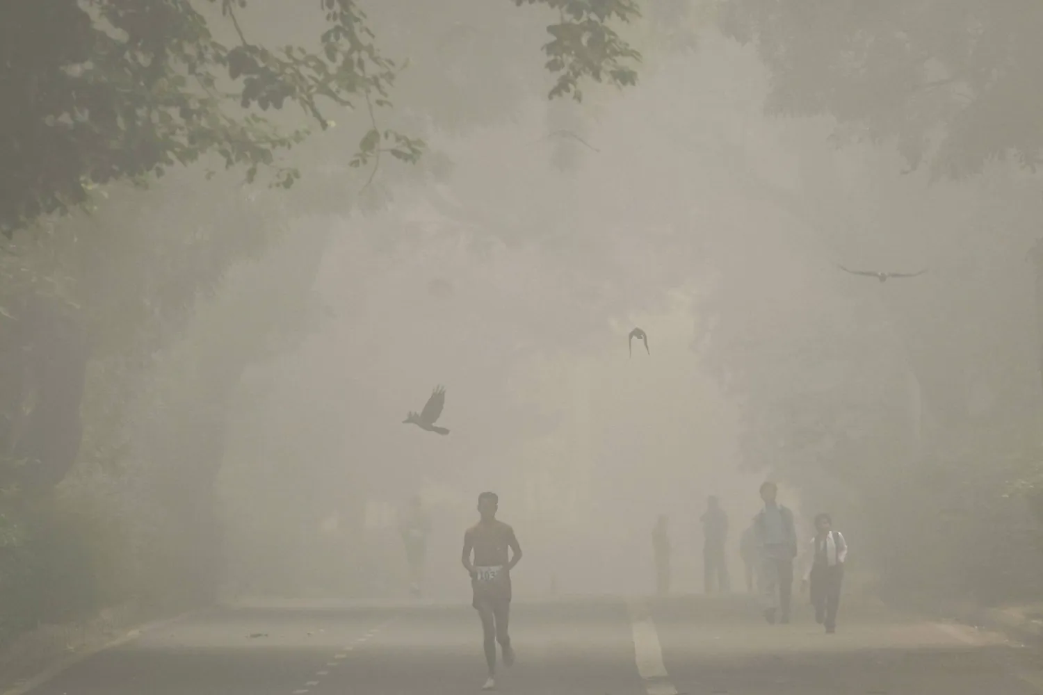 A man jogs as he participates in a marathon while the sky is enveloped with smog after Delhi’s air quality was classified as "hazardous" amidst severe air pollution, in New Delhi, India, November 14, 2024. REUTERS/Anushree Fadnavis 