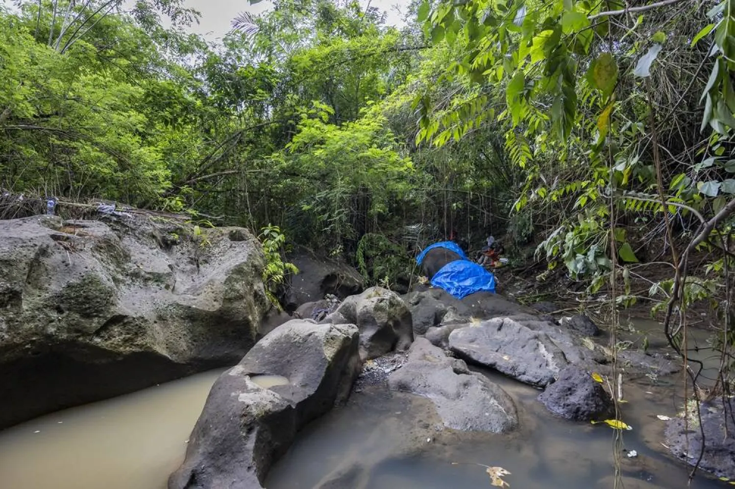 The carcass of an elephant is covered with a blue tarp after it was found dead on a riverbank after being swept away by the river's current the previous evening, in Gianyar, Bali, Indonesia, 17 December 2024. (EPA)