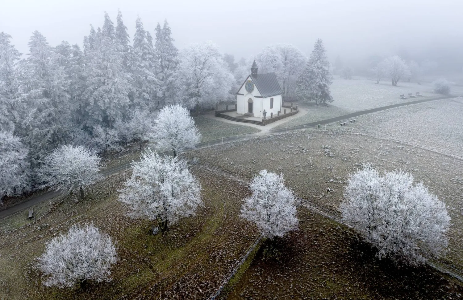 أشجار متجمدة في أوبر رايفنبرج بالقرب من فرنكفورت بألمانيا (أ.ب)