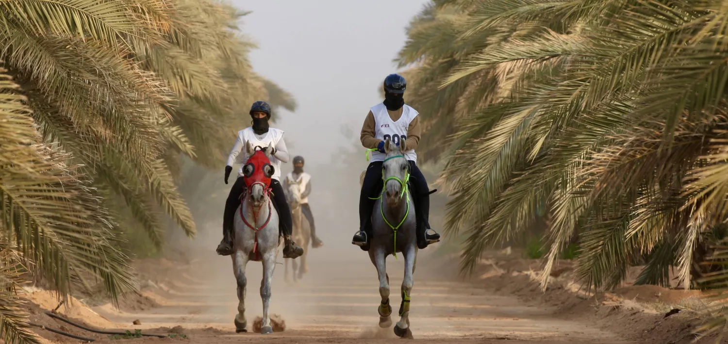 السباق سيقام على ميادين مزرعة الخالدية غرب الرياض (الشرق الأوسط)