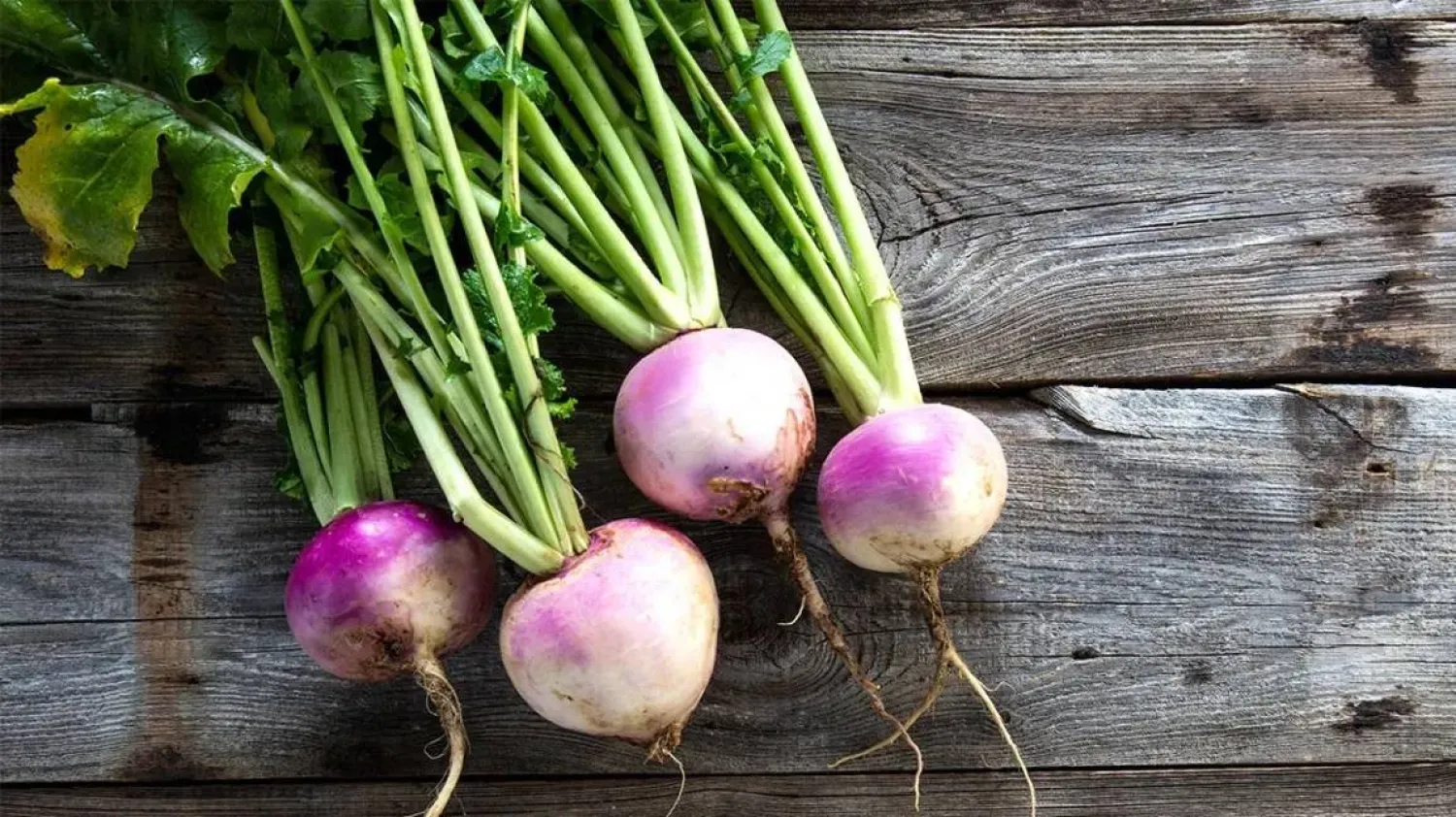 ما فوائد اللفت؟ (موقع «هيلث لاين»)