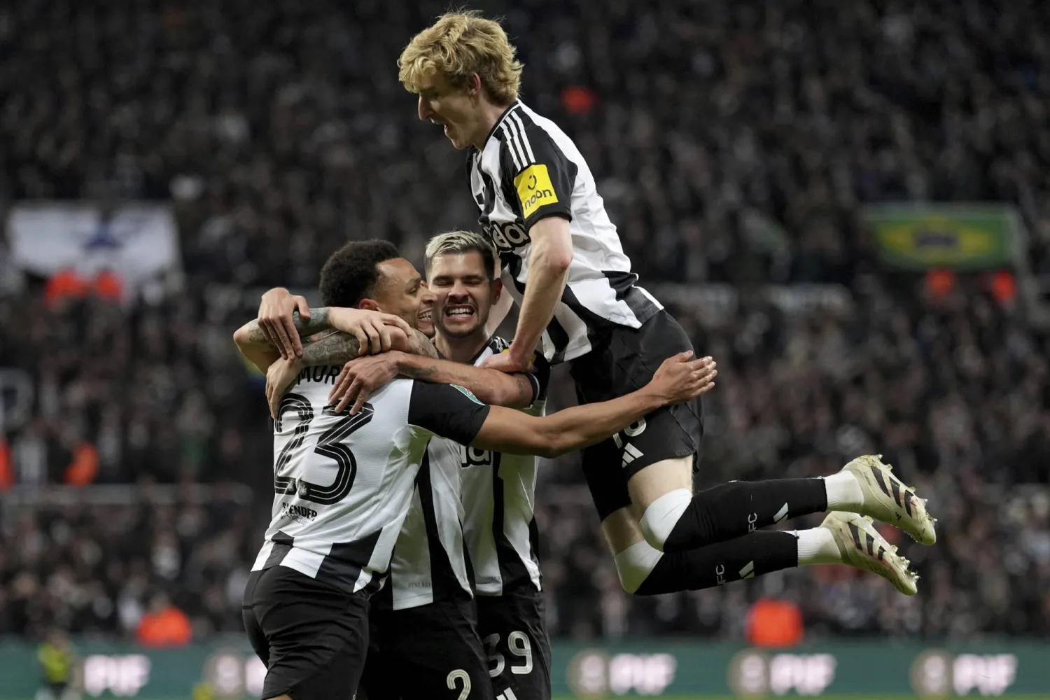 لاعبو نيوكاسل يحتفلون بالهدف الأول في شباك أرسنال (أ.ب)