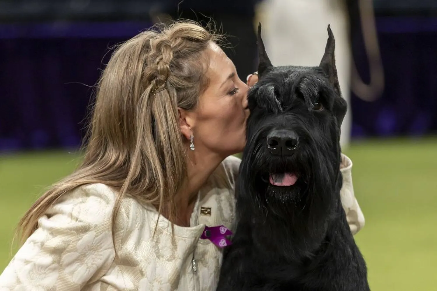 Giant Schnauzer dog, Monty, poses for pictures with its handler after winning Best In Show during the 149th Annual Westminster Kennel Club Dog Show at Madison Square Garden in New York, New York, USA, 11 February 2025. (EPA)