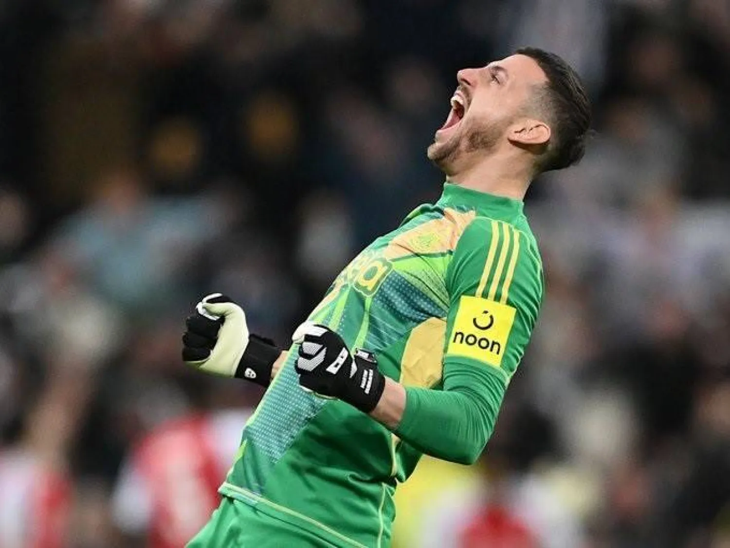 مارتن دوبرافكا (نيوكاسل)