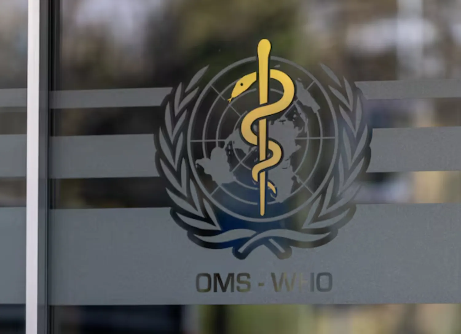 The logo of the World Health Organization is seen at the WHO headquarters in Geneva, Switzerland, January 28, 2025. REUTERS/Denis Balibouse/File Photo 