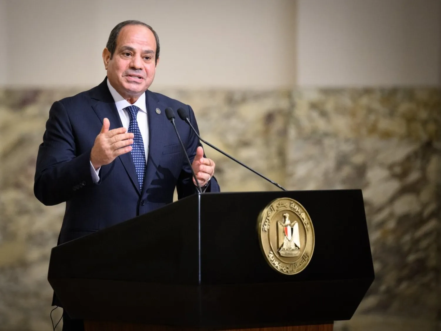 الرئيس المصري عبد الفتاح السيسي (د.ب.أ) 