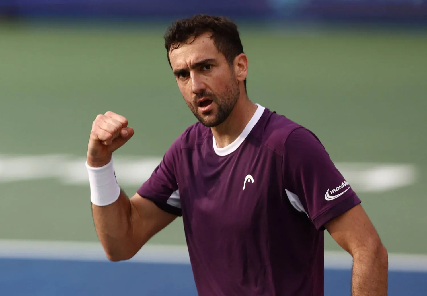 مارين شيليتش (رويترز)