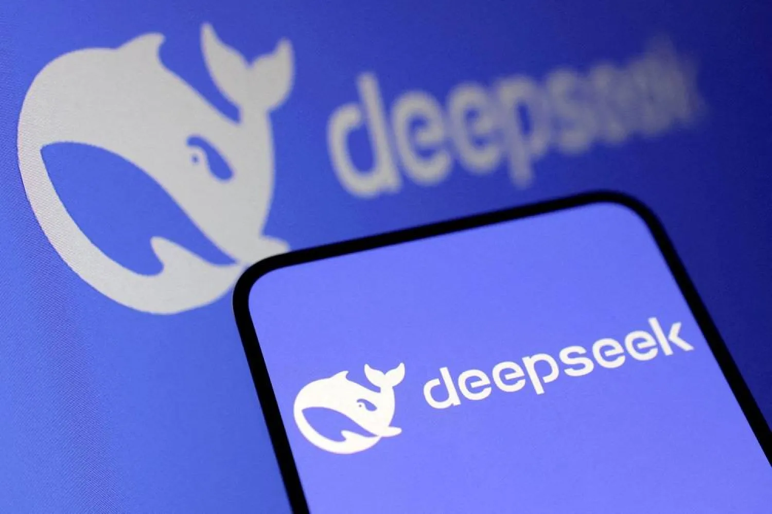 The DeepSeek logo is seen in this illustration taken Jan. 27, 2025. (Reuters)