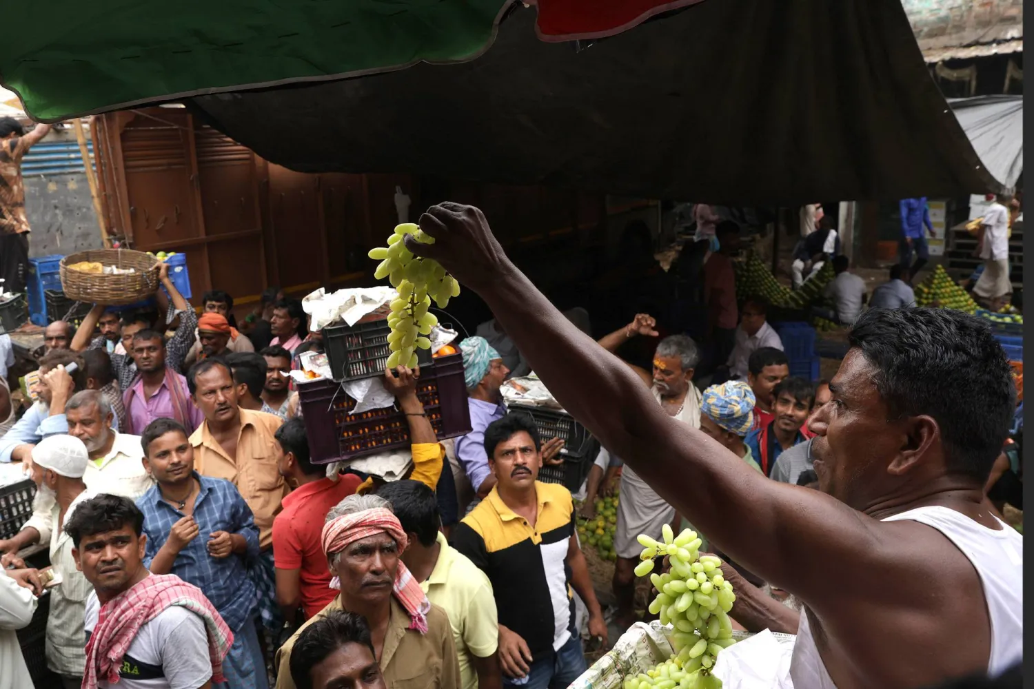 رجل يحمل العنب في سوق للفاكهة بالهند (إ.ب.أ)
