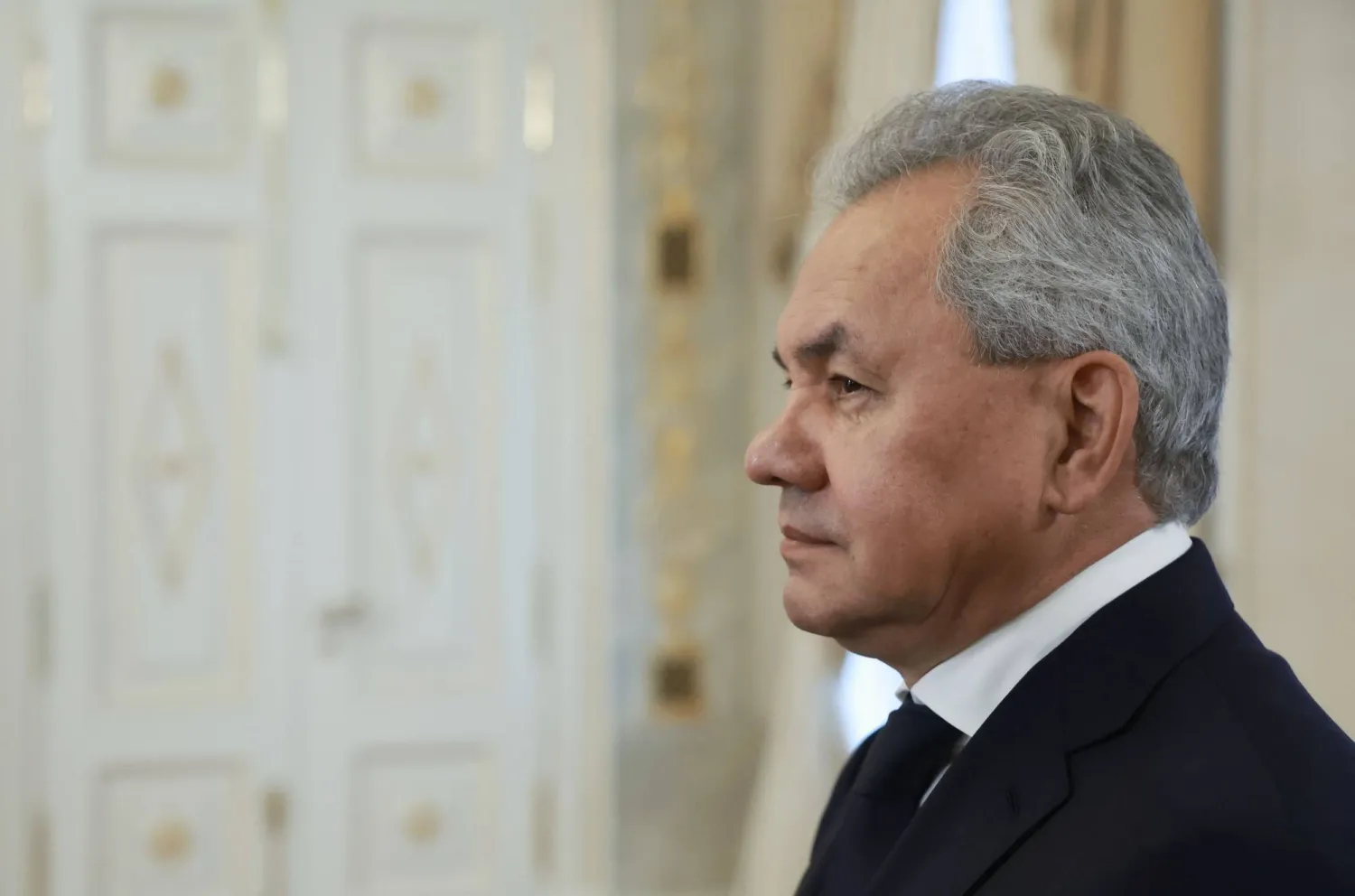 الأمين العام لمجلس الأمن الروسي سيرغي شويغو (أرشيفية - أ.ف.ب)