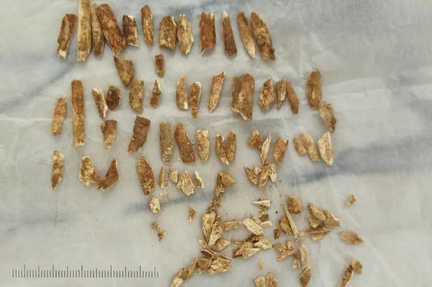 Araştırmacılar, hem modern insan hem de Neandertal özelliklerine sahip çocuğa ait önkol kemiği parçalarını inceledi (João Zilhão/AP)