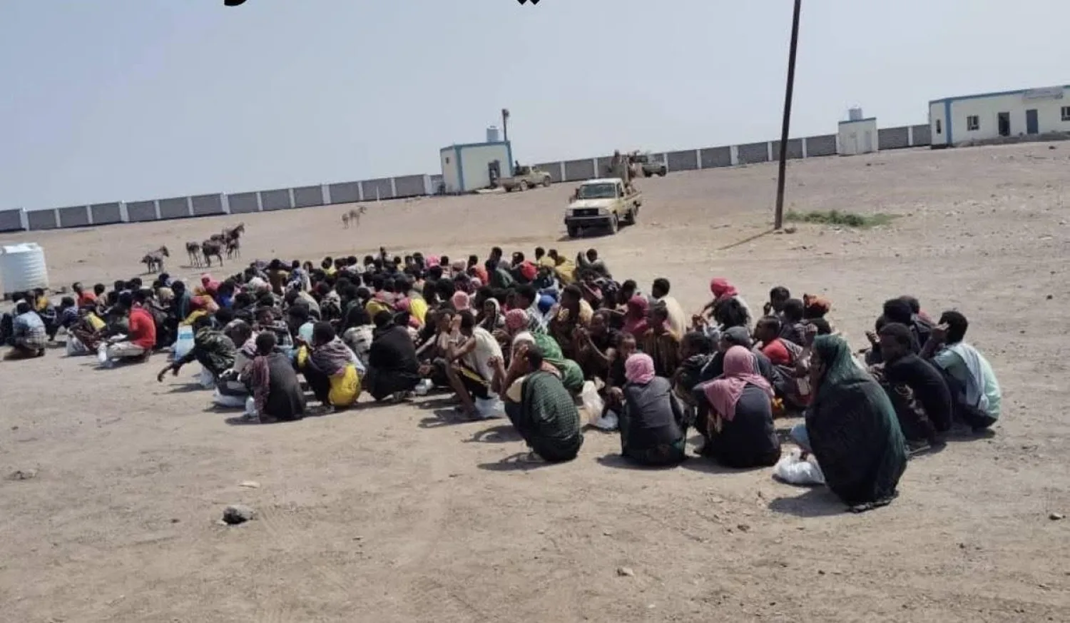 المهاجرون ضحية لشبكة منظمة لتهريب البشر من القرن الأفريقي إلى اليمن (إعلام حكومي)