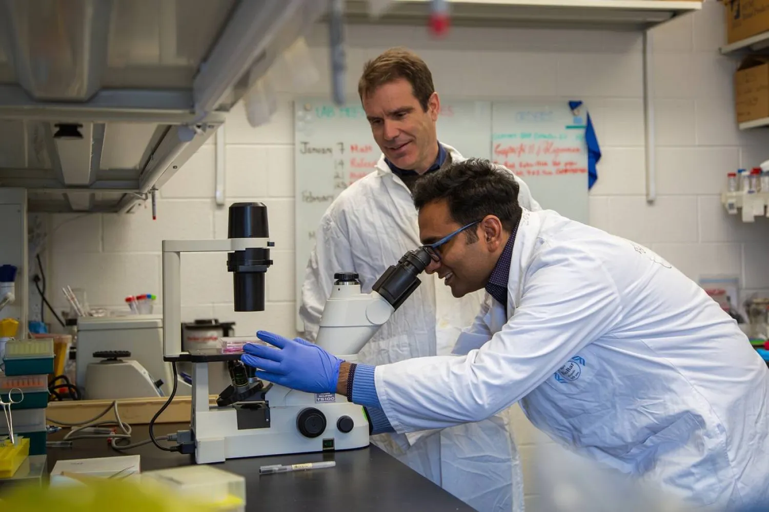 باحث من فريق جامعة تورنتو يدرس تأثير نقص الألياف الغذائية على انتشار أورام القولون (جامعة تورنتو)