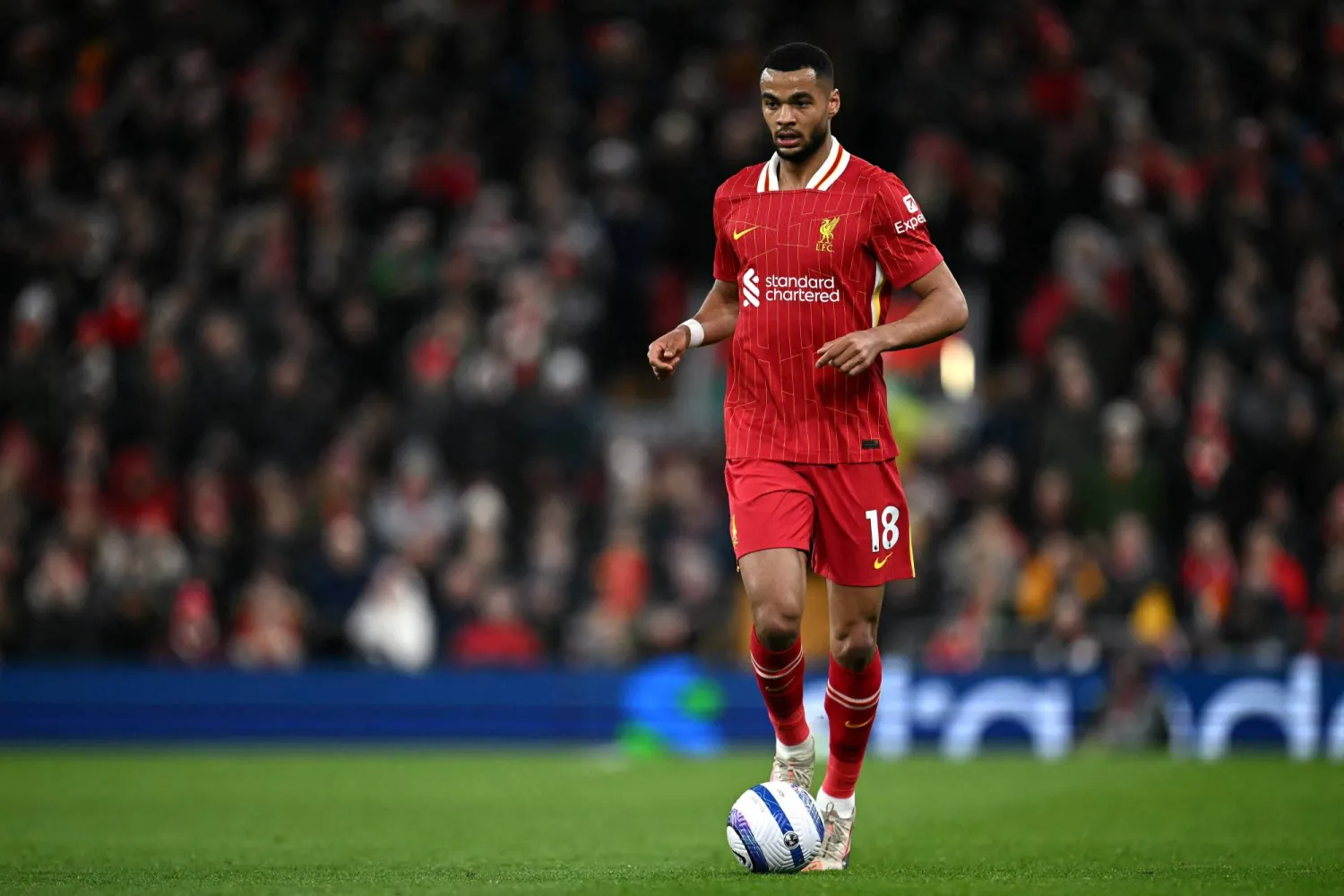 كودي خاكبو مهاجم ليفربول (أ.ف.ب)