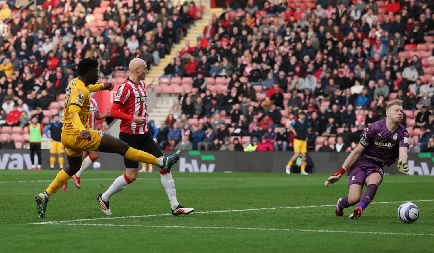 بعد عودة كارلوس باليبا (يسار) من الإصابة قاد برايتون لتقديم عروض جيدة (رويترز)