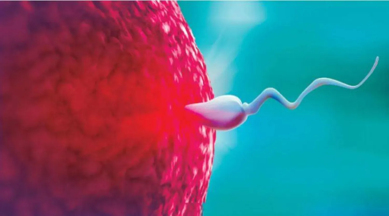 دراسة تربط بين «جودة» الحيوانات المنوية والعمر المتوقع للرجل