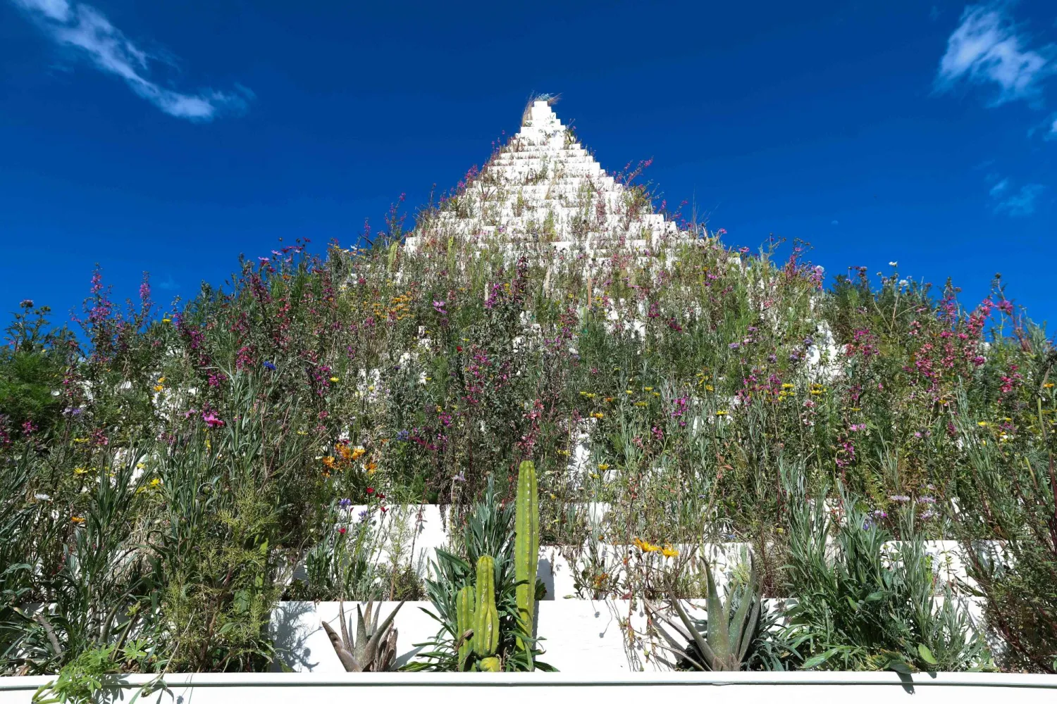 «الهرم الحي» للفنانة آغنيس دينيس (أ.ف.ب)