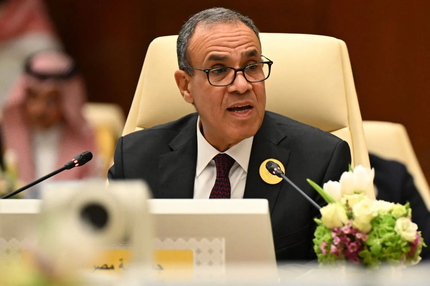 وزير الخارجية والهجرة المصري بدر عبد العاطي (أ.ف.ب)