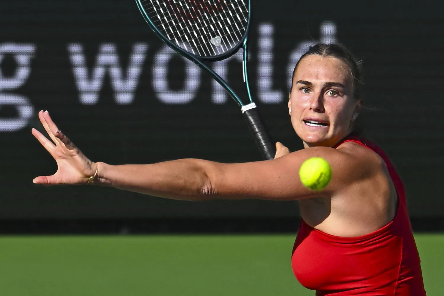 سابالينكا (رويترز)